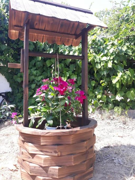 Holiday home μονοκατοικία Kathrin